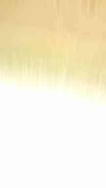 縁（えにし）先生のプロフィール写真
